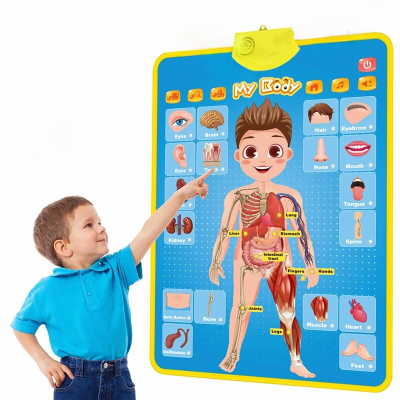 Electronic English Educational Wall Chart