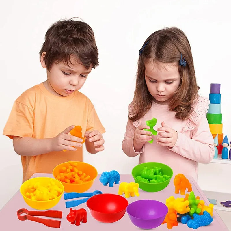 Kids Montessori Matching Game