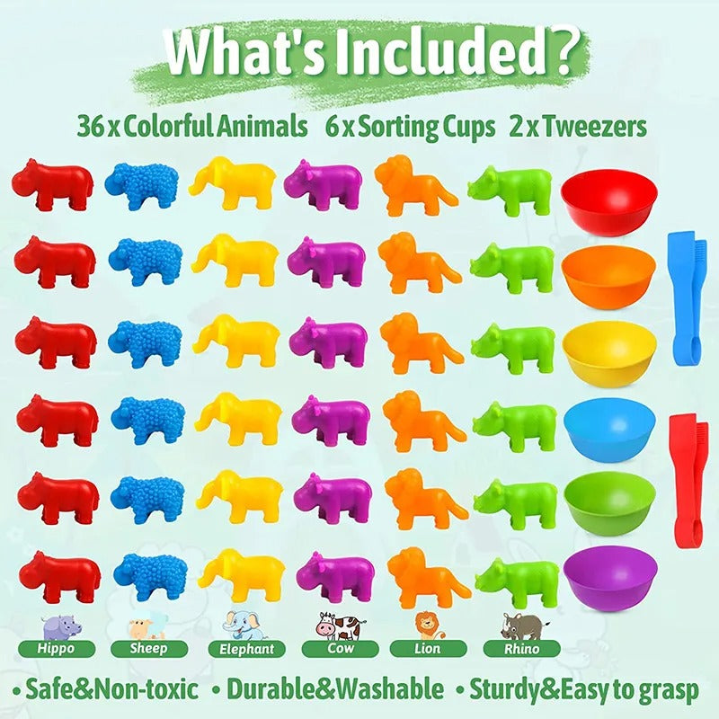 Kids Montessori Matching Game