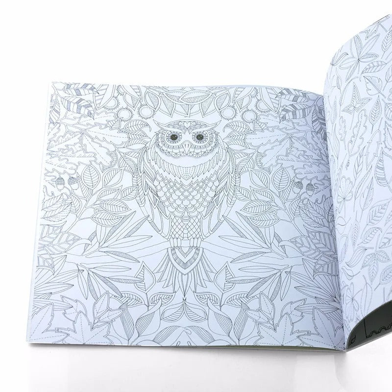 24 Pages Colouring Book for Children