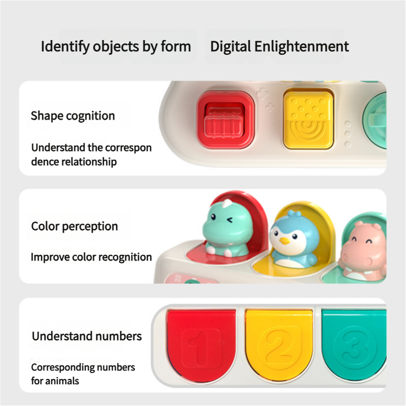 Shape Sorter Educational Toy