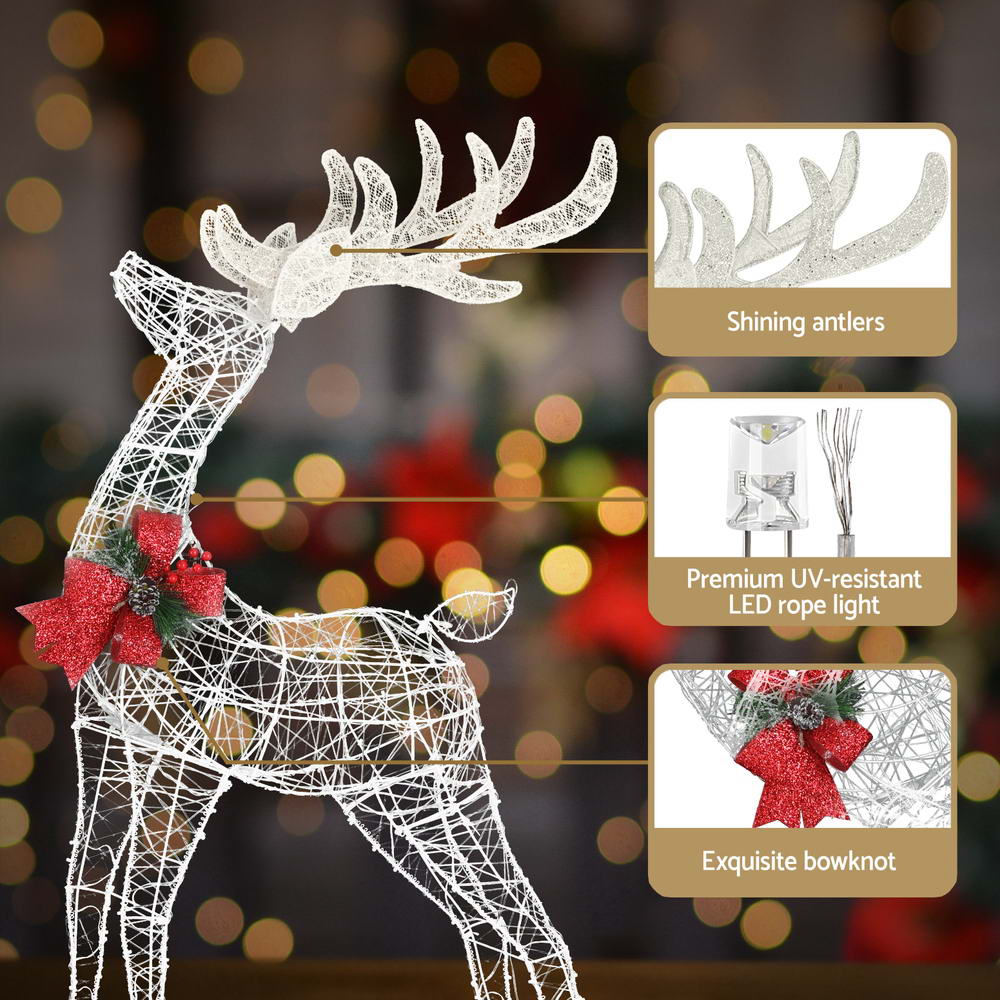 Reindeer Set Fairy Lights