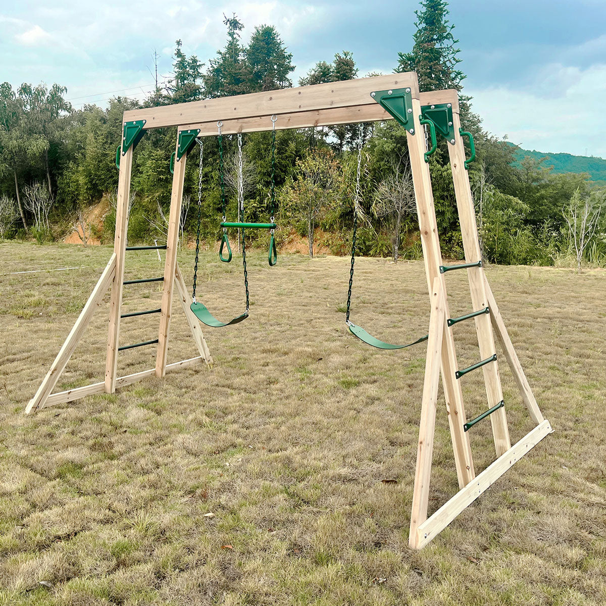 Daintree 2-in-1 Monkey Bars & Swing Set