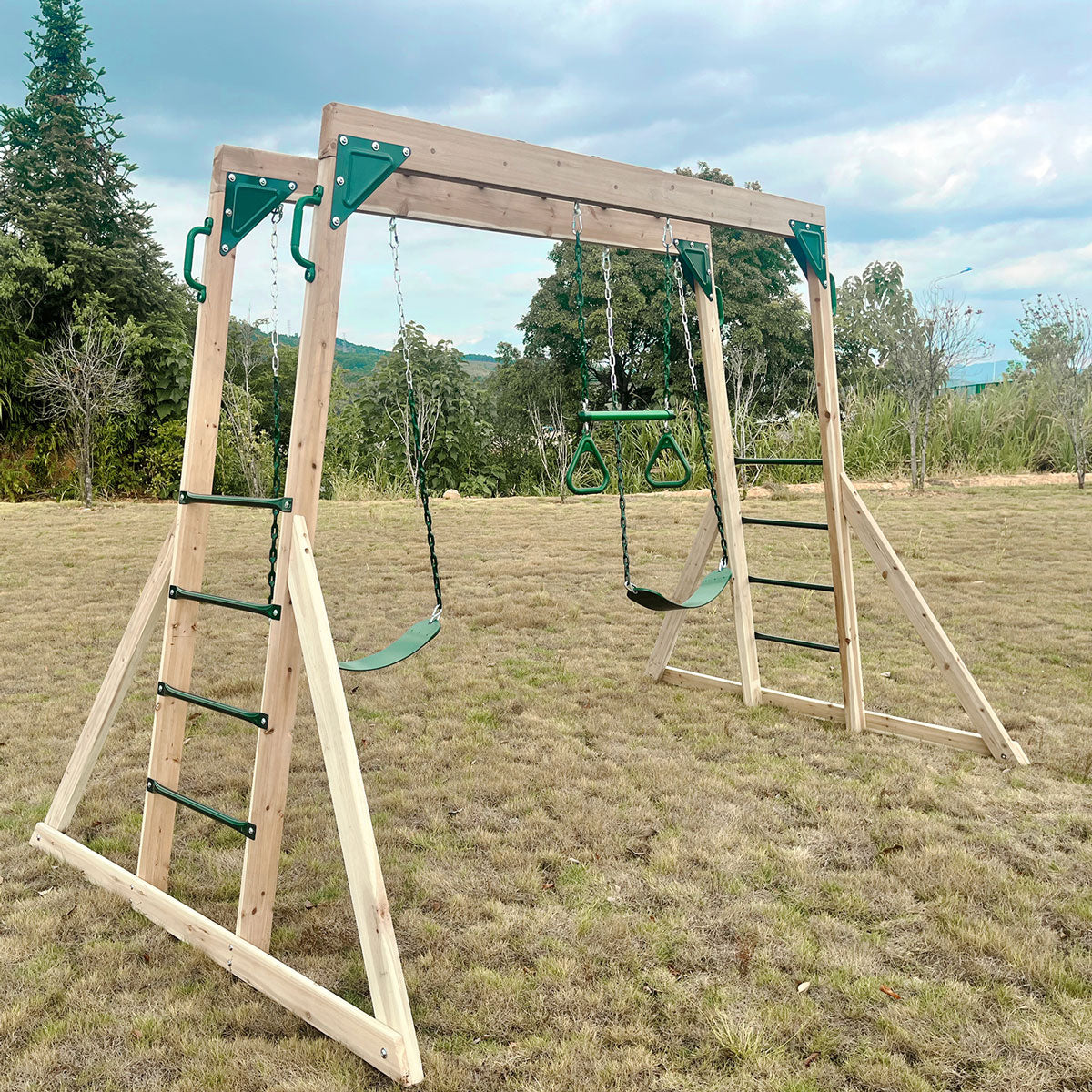 Daintree 2-in-1 Monkey Bars & Swing Set