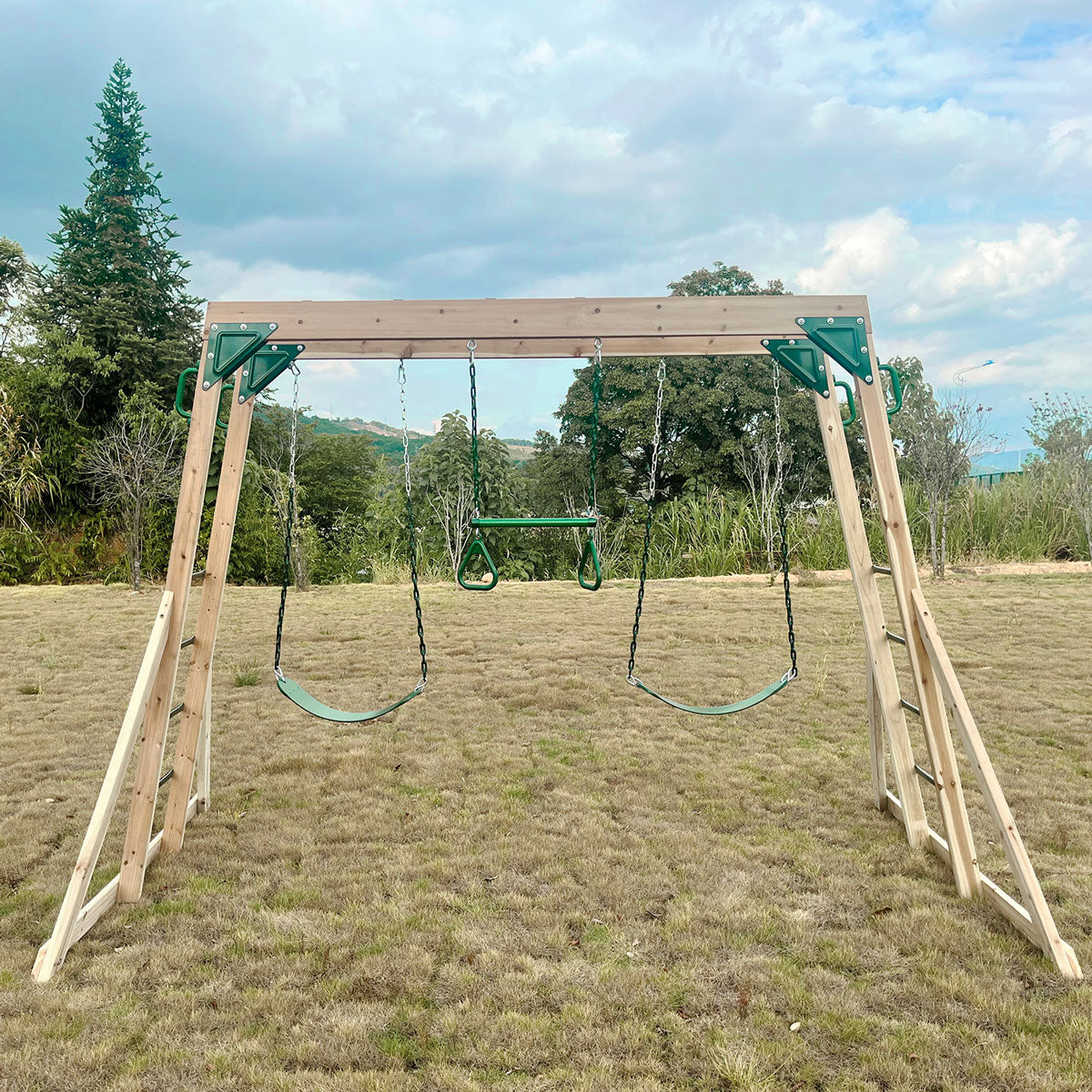 Daintree 2-in-1 Monkey Bars & Swing Set