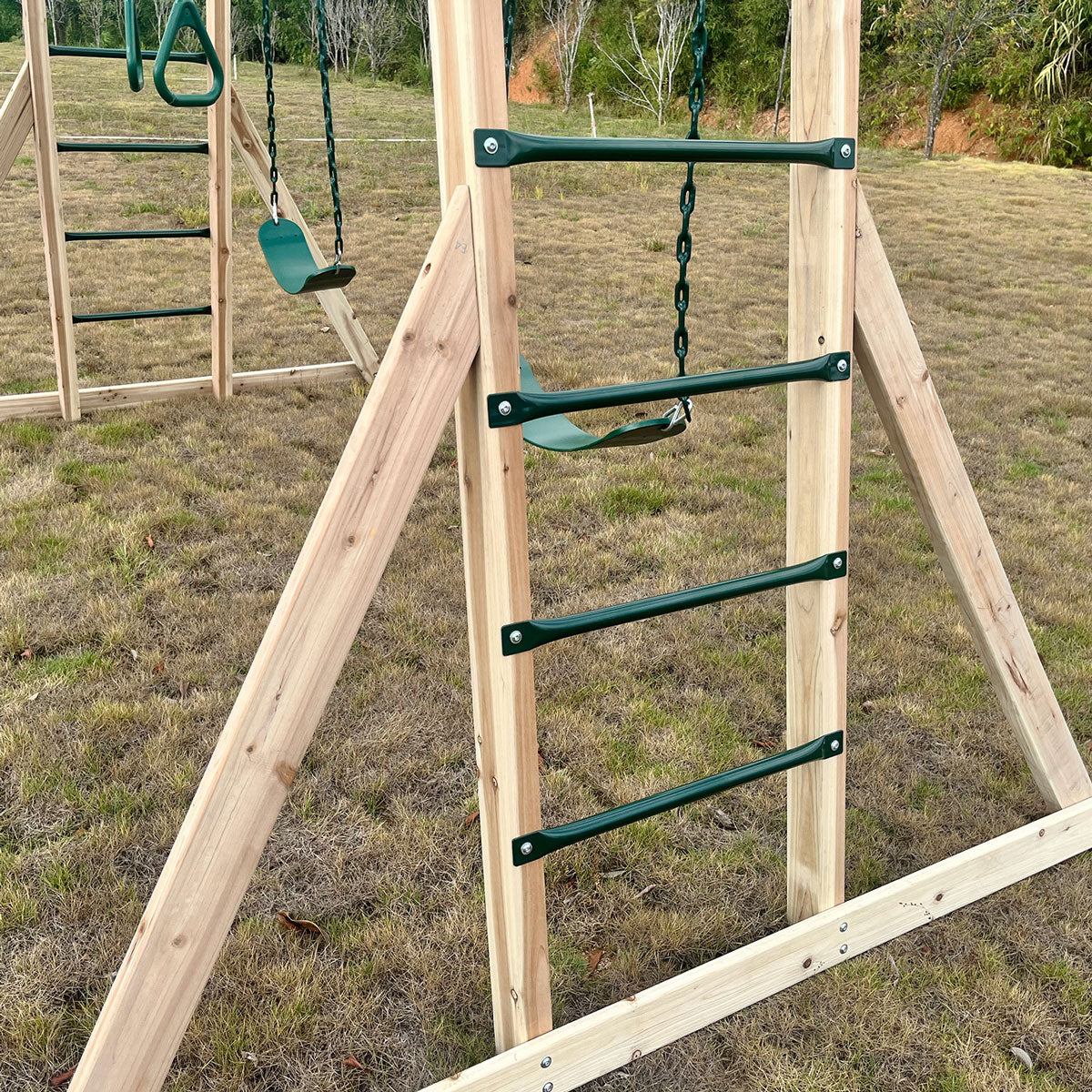 Daintree 2-in-1 Monkey Bars & Swing Set